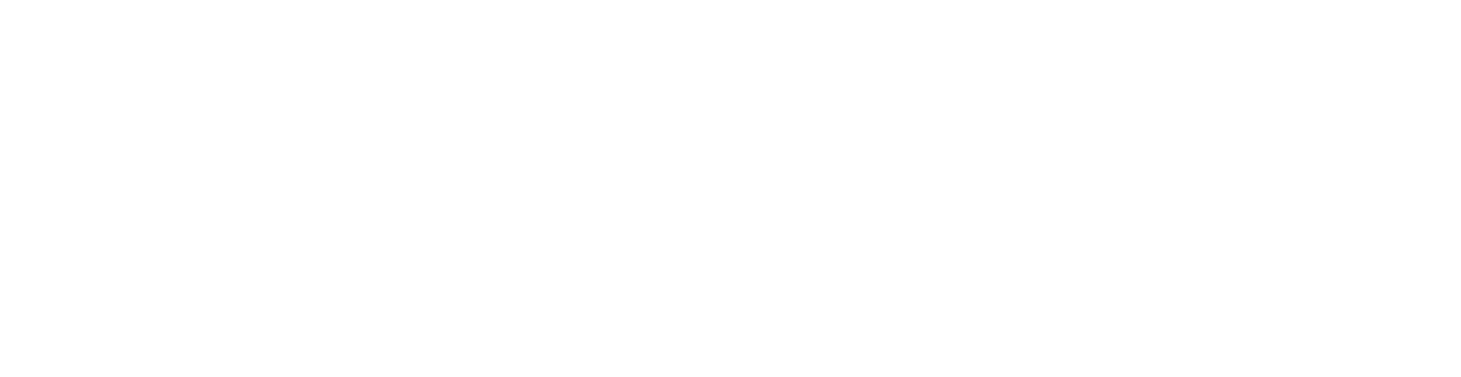 Cities4All logo in white