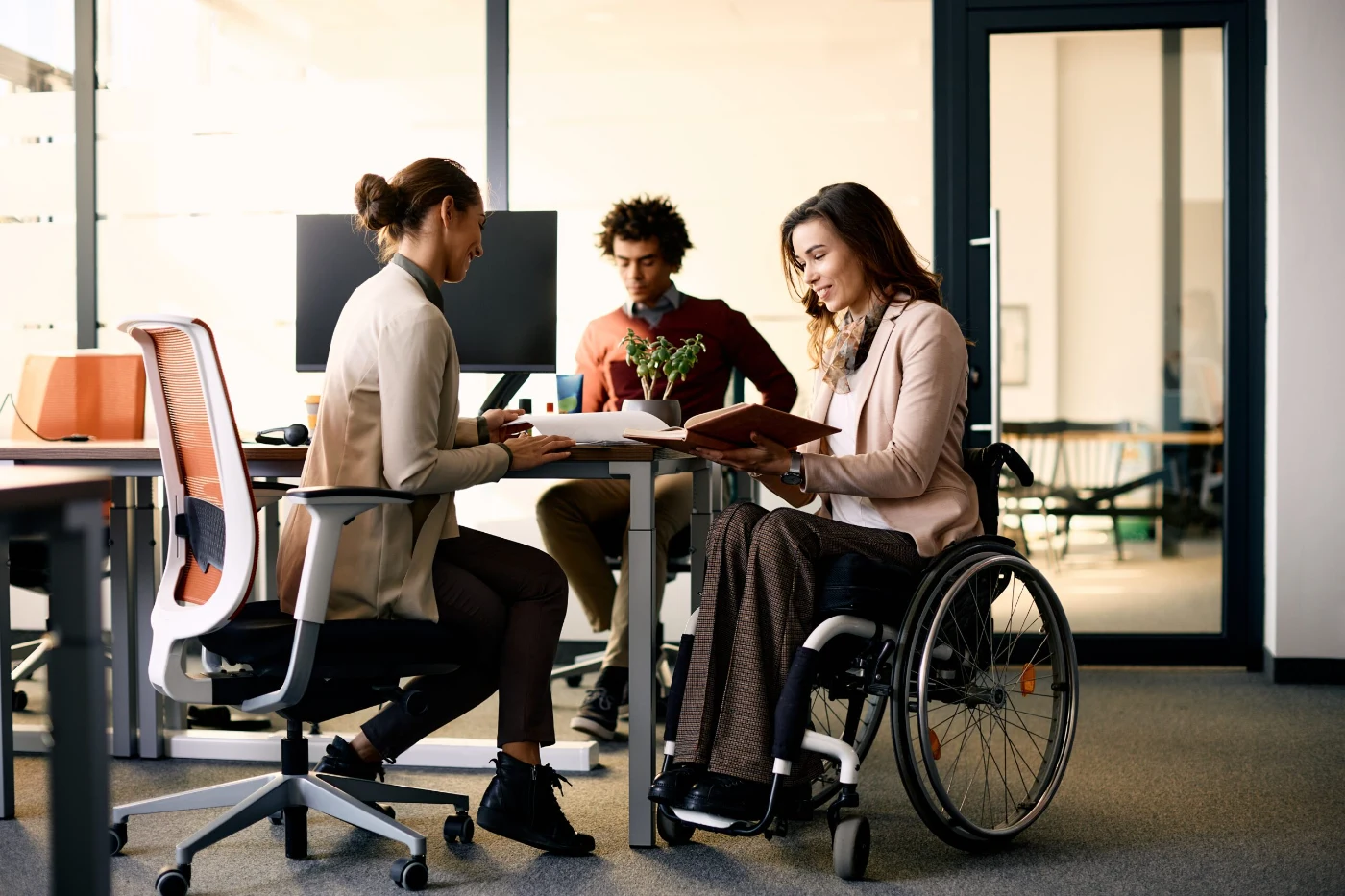 Wheelchair user reviewing documents with a colleague in a modern office.